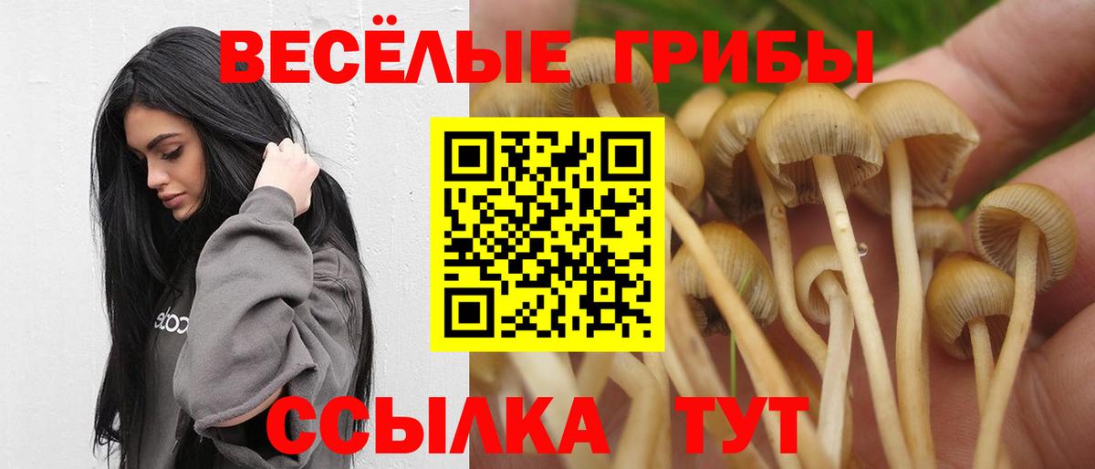 Галлюциногенные грибы Cubensis Белорецк